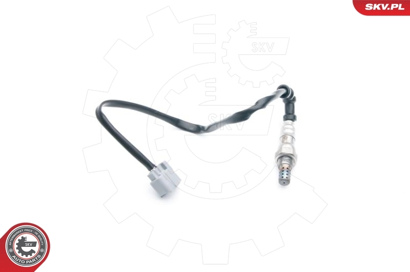 Oxygen Sensor